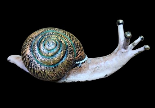 Antique vienna bronze snail - vienna,